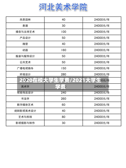 2020在校大学生学费/2021大学生学费