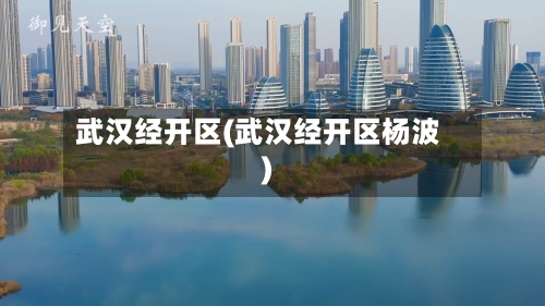 武汉经开区(武汉经开区杨波)