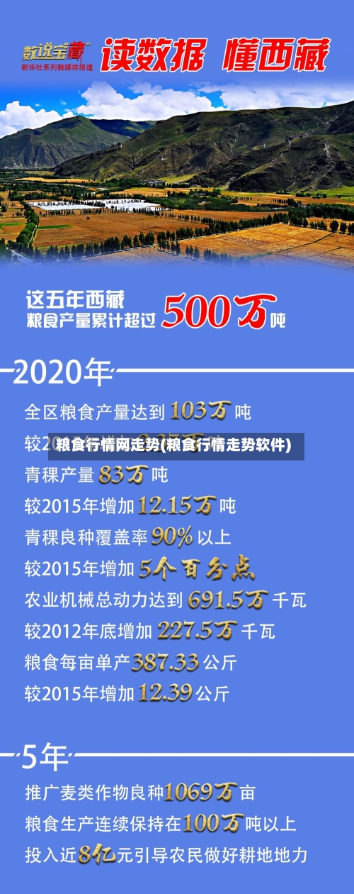 粮食行情网走势(粮食行情走势软件)