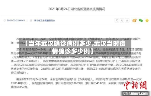 【当年武汉确诊病例多少,武汉当时疫情确诊多少例】