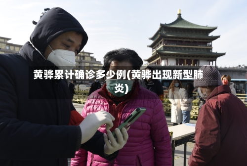 黄骅累计确诊多少例(黄骅出现新型肺炎)