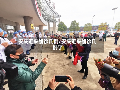 安庆近来确诊几例/安庆近来确诊几例了
