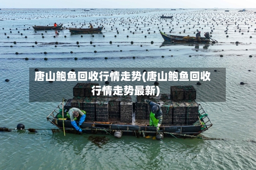 唐山鲍鱼回收行情走势(唐山鲍鱼回收行情走势最新)