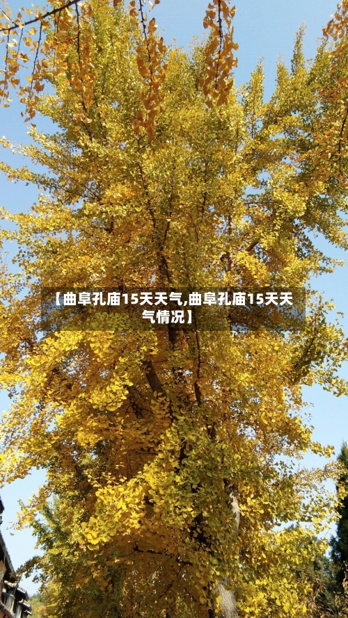 【曲阜孔庙15天天气,曲阜孔庙15天天气情况】