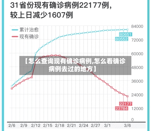 【怎么查询现有确诊病例,怎么看确诊病例去过的地方】