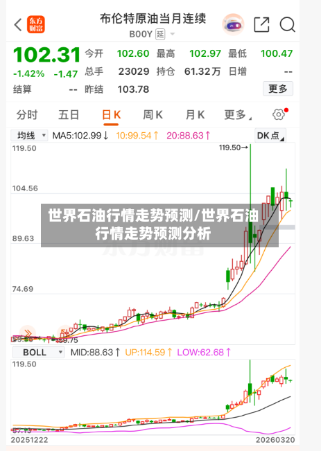 世界石油行情走势预测/世界石油行情走势预测分析