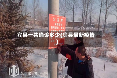 宾县一共确诊多少(宾县最新疫情)