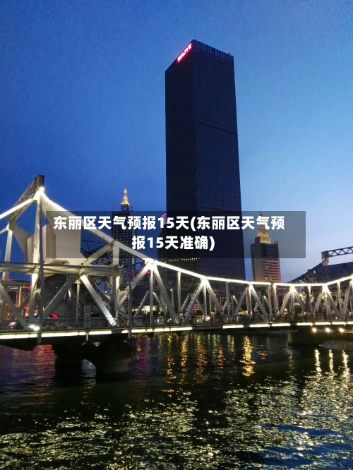 东丽区天气预报15天(东丽区天气预报15天准确)