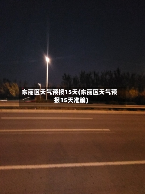 东丽区天气预报15天(东丽区天气预报15天准确)