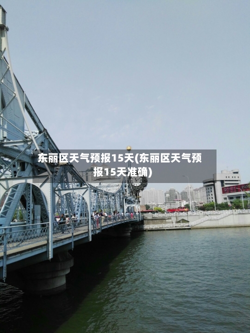 东丽区天气预报15天(东丽区天气预报15天准确)