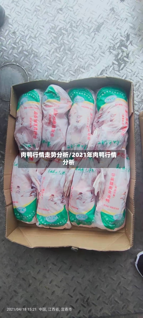 肉鸭行情走势分析/2021年肉鸭行情分析