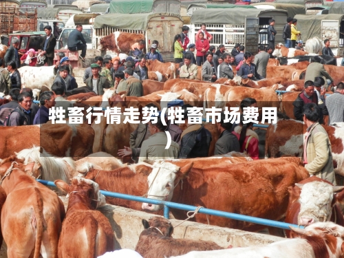 牲畜行情走势(牲畜市场费用)