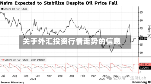 关于外汇投资行情走势的信息