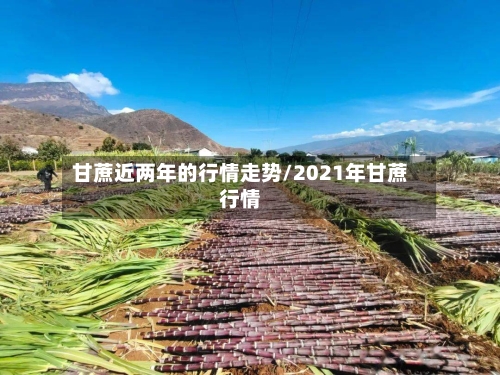 甘蔗近两年的行情走势/2021年甘蔗行情
