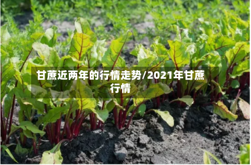 甘蔗近两年的行情走势/2021年甘蔗行情