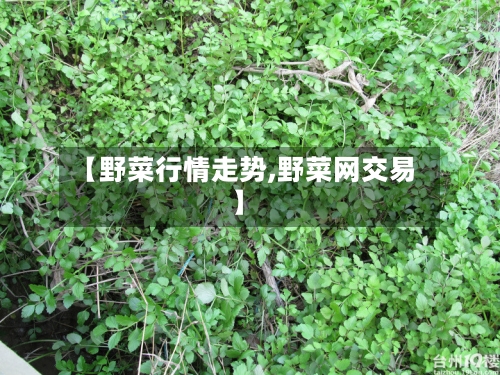 【野菜行情走势,野菜网交易】