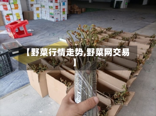 【野菜行情走势,野菜网交易】