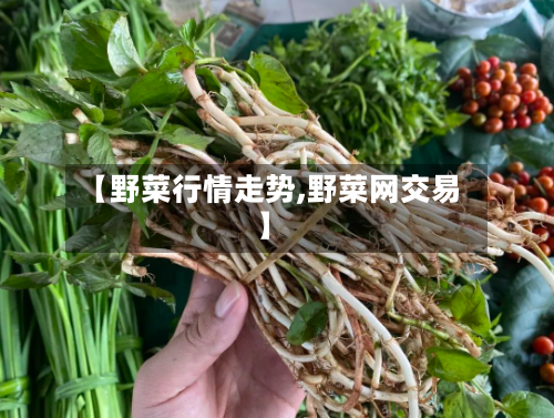 【野菜行情走势,野菜网交易】