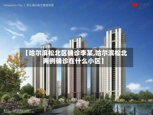 【哈尔滨松北区确诊李某,哈尔滨松北两例确诊在什么小区】