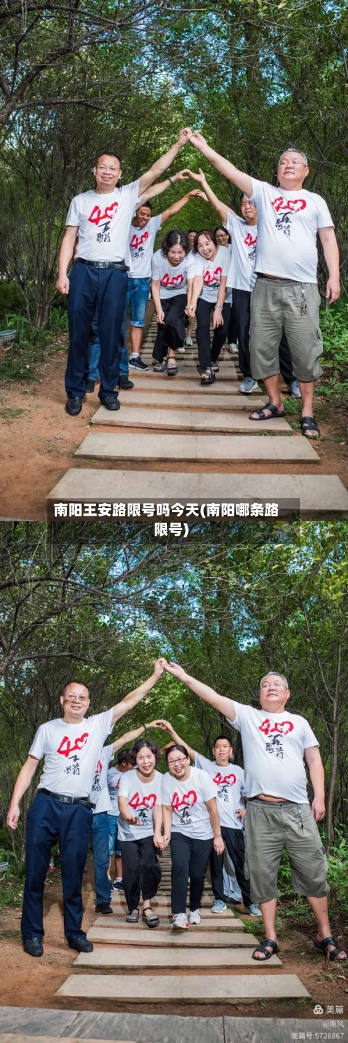 南阳王安路限号吗今天(南阳哪条路限号)
