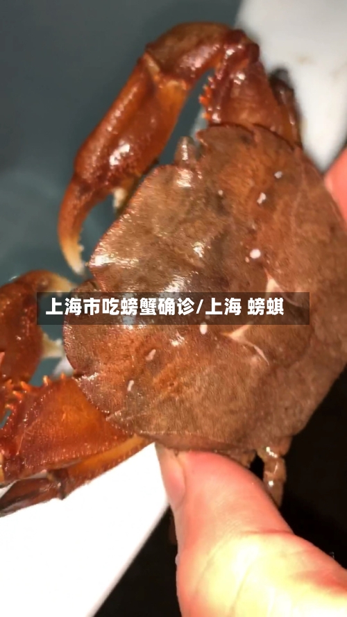 上海市吃螃蟹确诊/上海 螃蜞