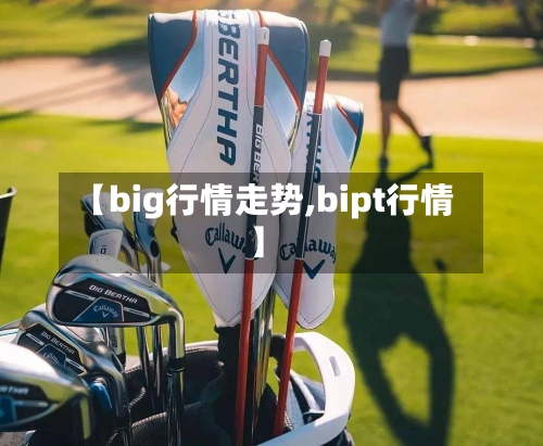 【big行情走势,bipt行情】