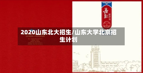 2020山东北大招生/山东大学北京招生计划