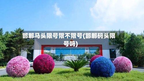 邯郸马头限号限不限号(邯郸码头限号吗)
