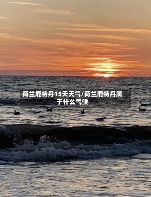 荷兰鹿特丹15天天气/荷兰鹿特丹属于什么气候
