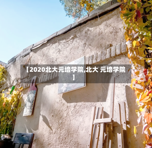 【2020北大元培学院,北大 元培学院】