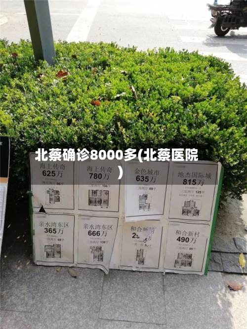 北蔡确诊8000多(北蔡医院)
