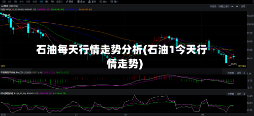 石油每天行情走势分析(石油1今天行情走势)
