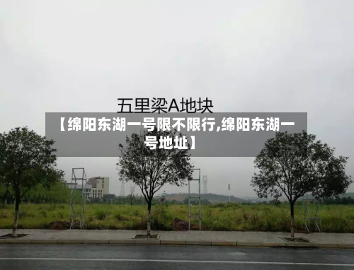 【绵阳东湖一号限不限行,绵阳东湖一号地址】