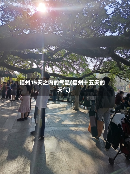 福州15天之内的气温(福州十五天的天气)