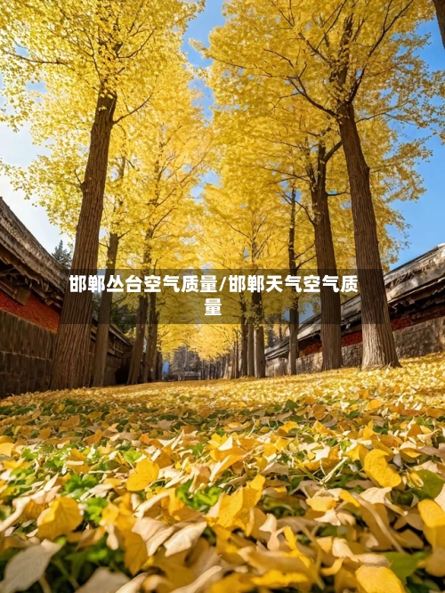 邯郸丛台空气质量/邯郸天气空气质量