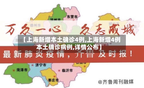 【上海新增本土确诊4例,上海新增4例本土确诊病例,详情公布】