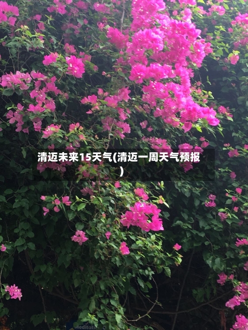 清迈未来15天气(清迈一周天气预报)
