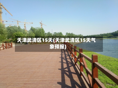 天津武清区15天(天津武清区15天气象预报)