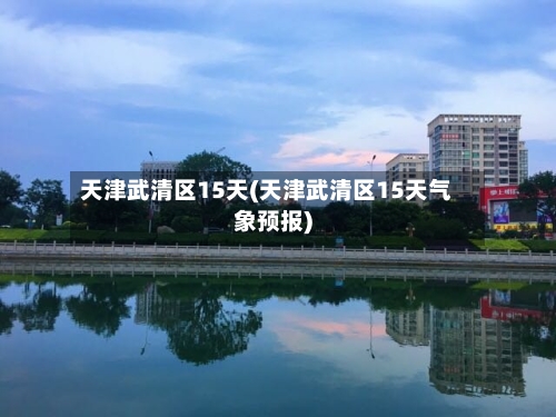 天津武清区15天(天津武清区15天气象预报)