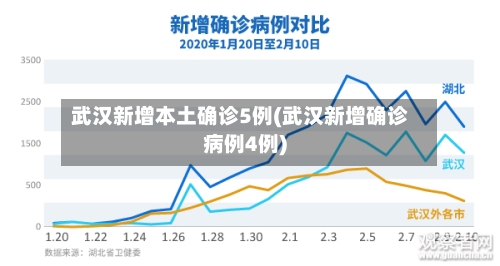 武汉新增本土确诊5例(武汉新增确诊病例4例)