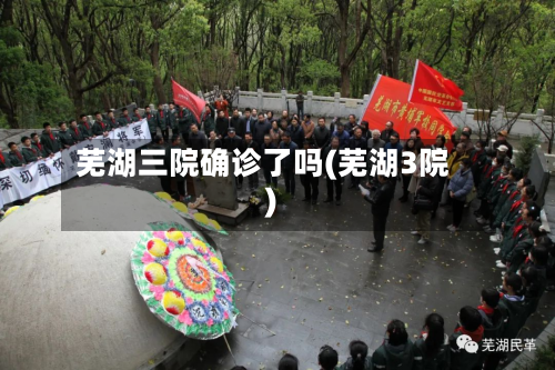 芜湖三院确诊了吗(芜湖3院)