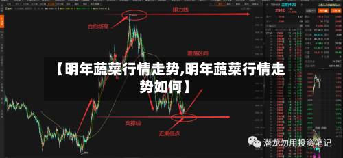 【明年蔬菜行情走势,明年蔬菜行情走势如何】