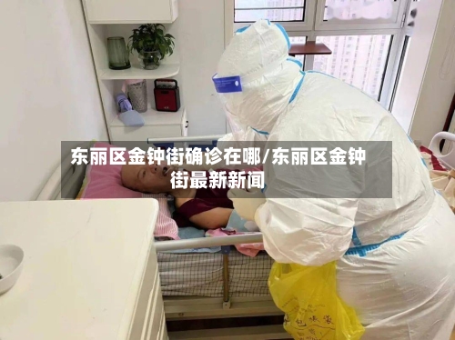 东丽区金钟街确诊在哪/东丽区金钟街最新新闻