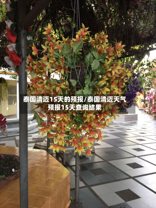 泰国清迈15天的预报/泰国清迈天气预报15天查询结果