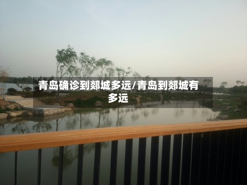 青岛确诊到郯城多远/青岛到郯城有多远