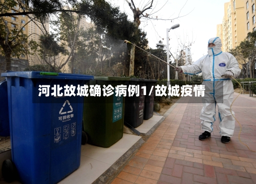 河北故城确诊病例1/故城疫情