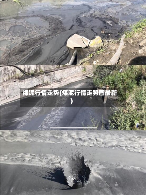 煤泥行情走势(煤泥行情走势图最新)