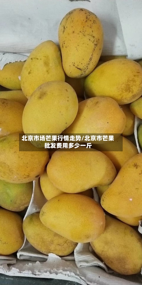 北京市场芒果行情走势/北京市芒果批发费用多少一斤
