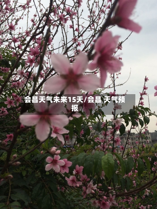 会昌天气未来15天/会昌 天气预报