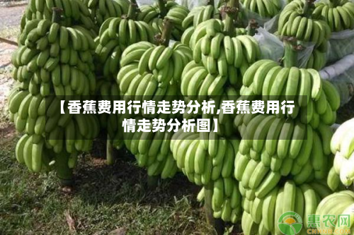 【香蕉费用行情走势分析,香蕉费用行情走势分析图】